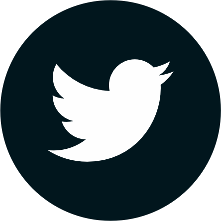Icon Twitter